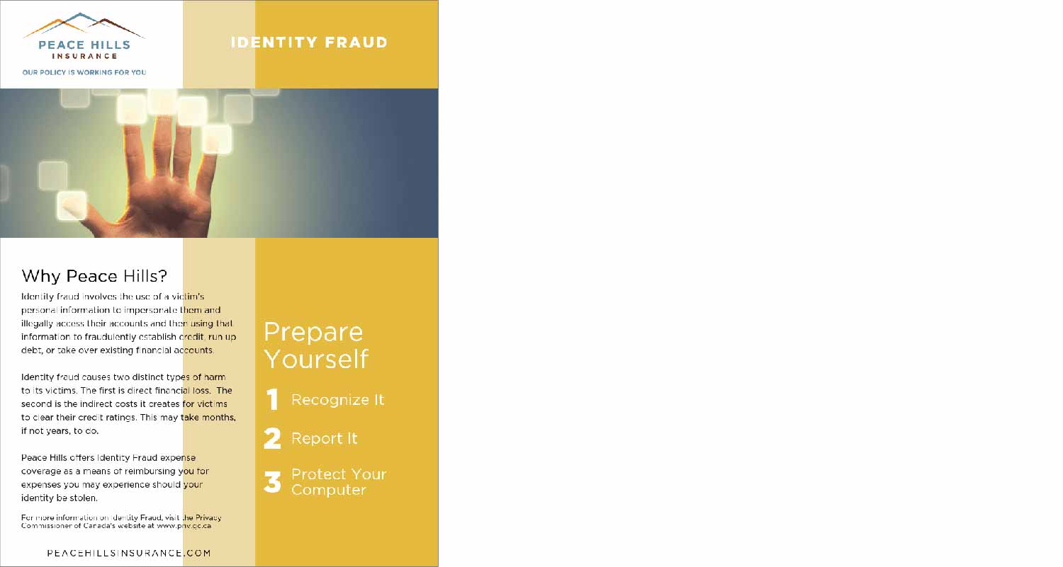 identity_fraud_icon.png