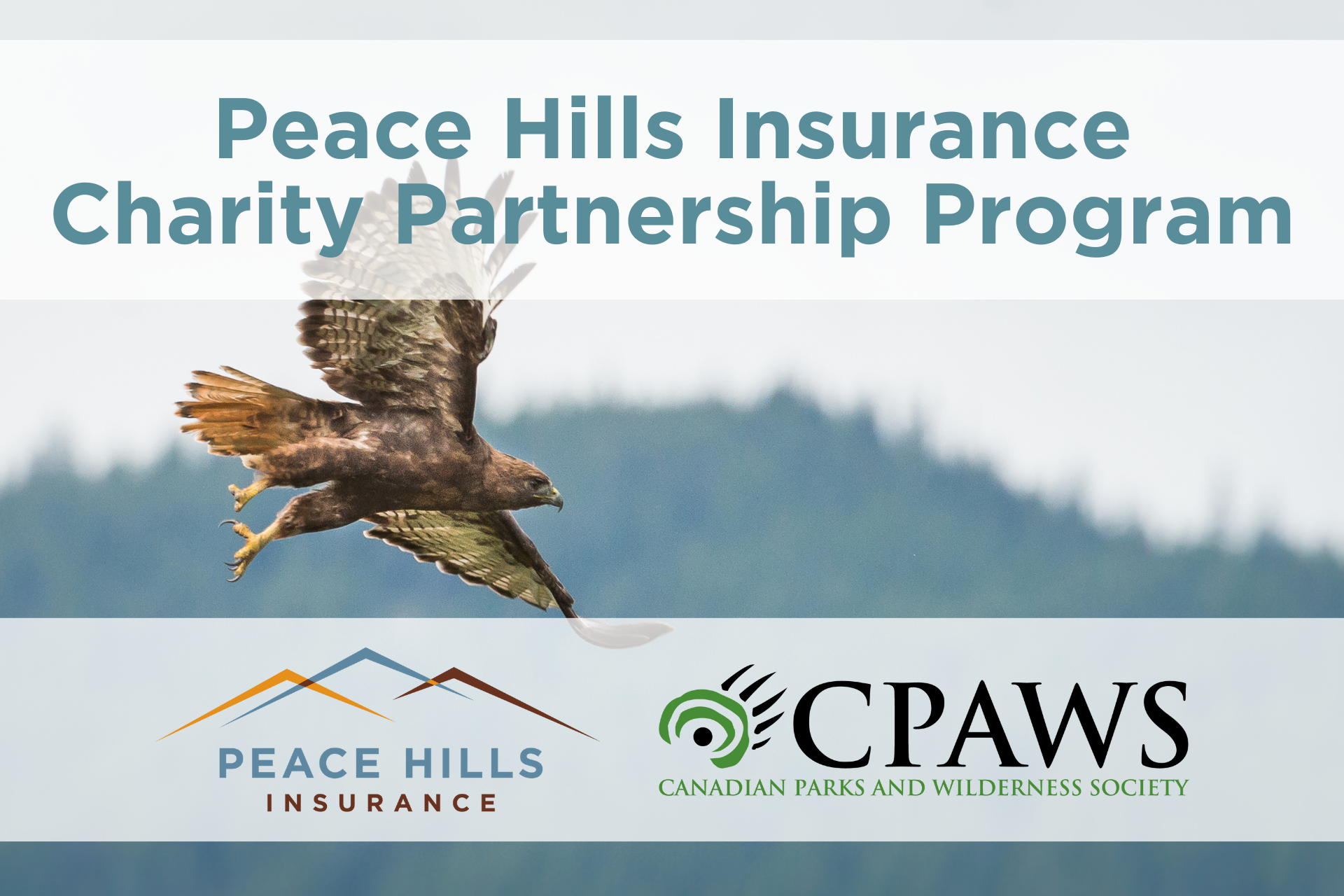 Charity Partnership-Web.png